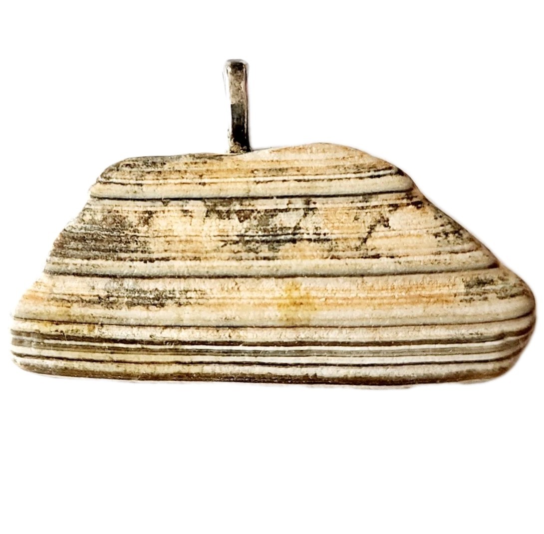 Vintage Maine Clam Sea Shell Necklace Pendant Handmade Nautical Jewelry E8A