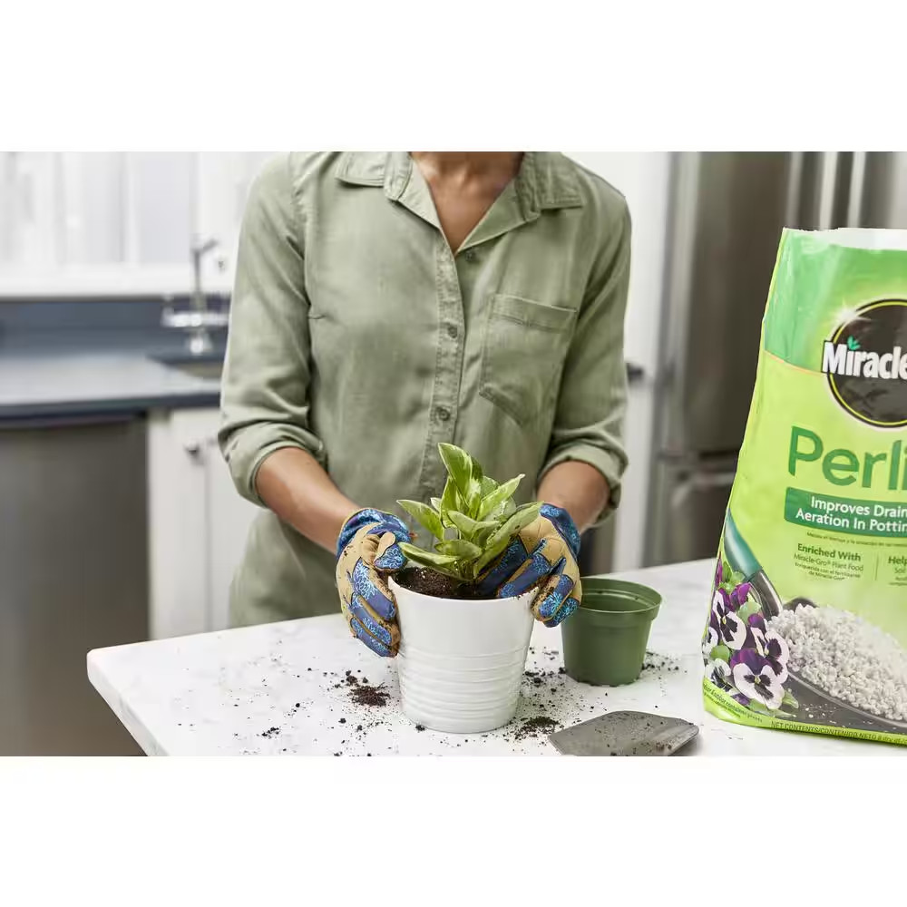8 Qt. Perlite (2-Pack)