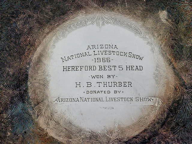Arizona national livestock show Hereford cow cattte trophy 1966 Herald B Thurber
