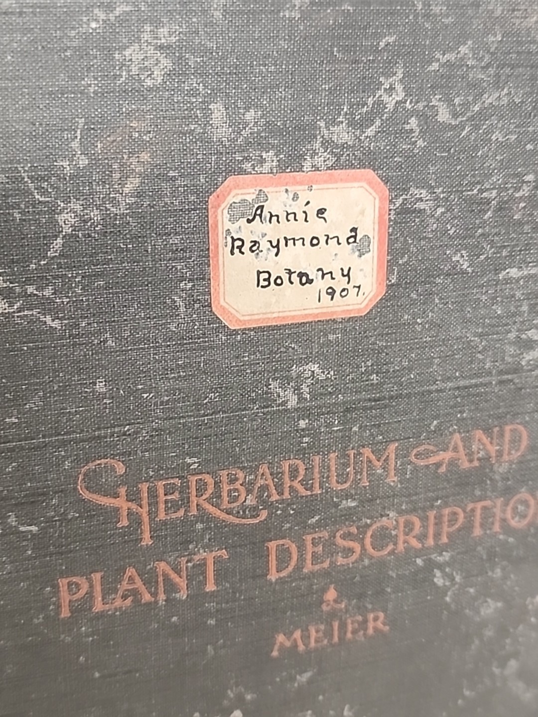 Antique HERBARIUM AND PLANT DESCRIPTIONS Meier Ginn And Company Complete 1907