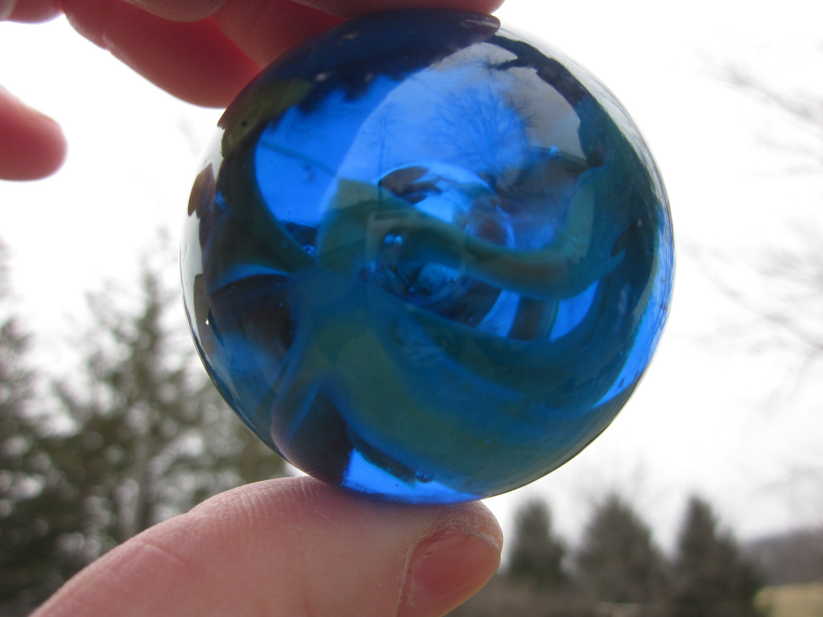TOE BREAKER 50mm (2") SEA TURTLE clear Blue/Green Marbles glass ball HUGE Swirl