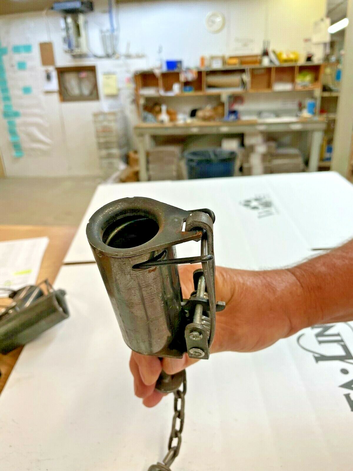 12, Brand New Cold Creek, Dog proof raccoon traps, coon, DP with setting tool