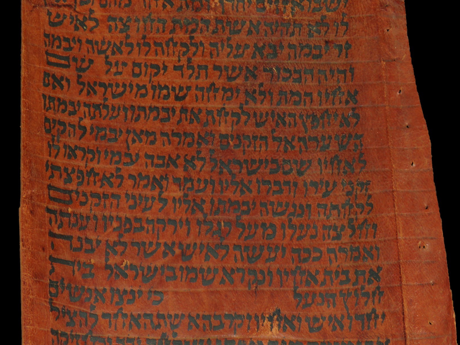 TORAH SCROLL BIBLE VELLUM MANUSCRIPT FRAGMENT 300 YRS OLD YEMEN The erase Amalek