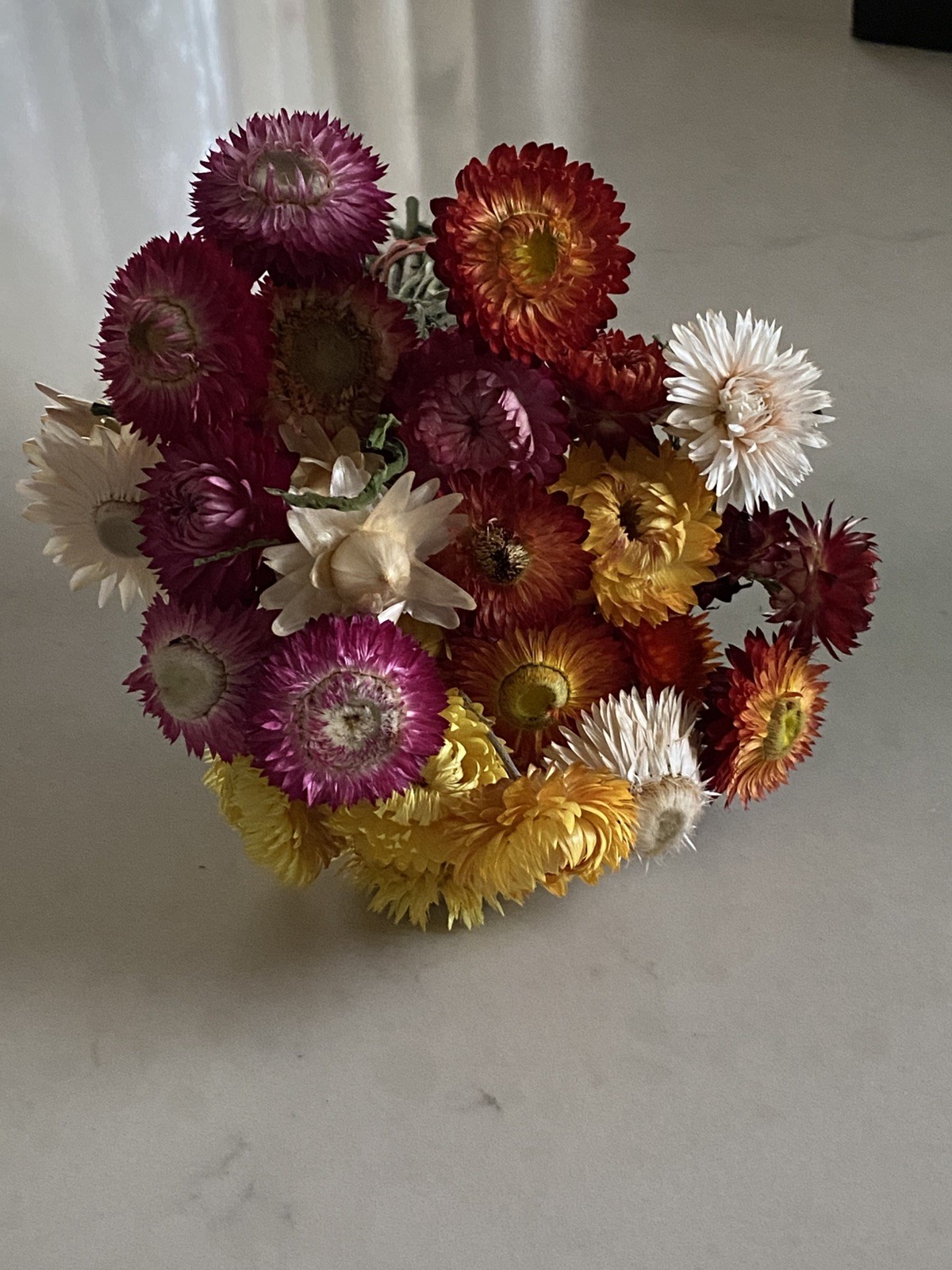 Beautiful STRAWFLOWERS Mix Assorted Bunch BOUQUET Bundle DRIED Flowers USA Auc#2