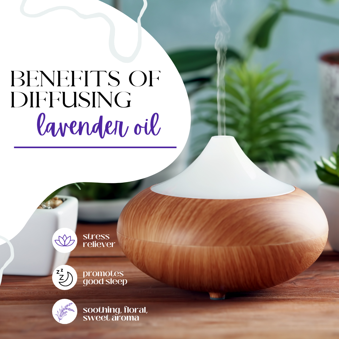 Lavender 40-42 Essential Oil 100% Pure Many Sizes Free Shipping