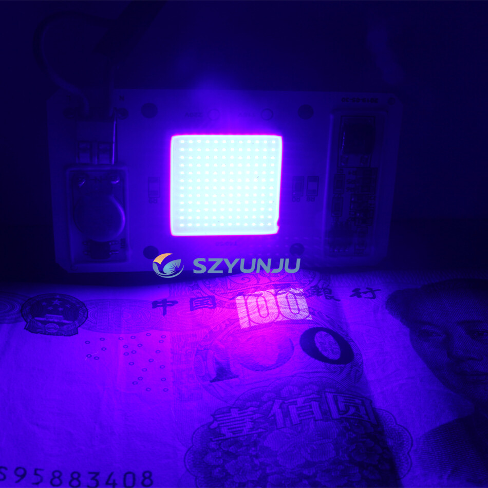 50W High Power UV 395nm LED chip Built-in driver Chip Smart IC 220V Light Lamp