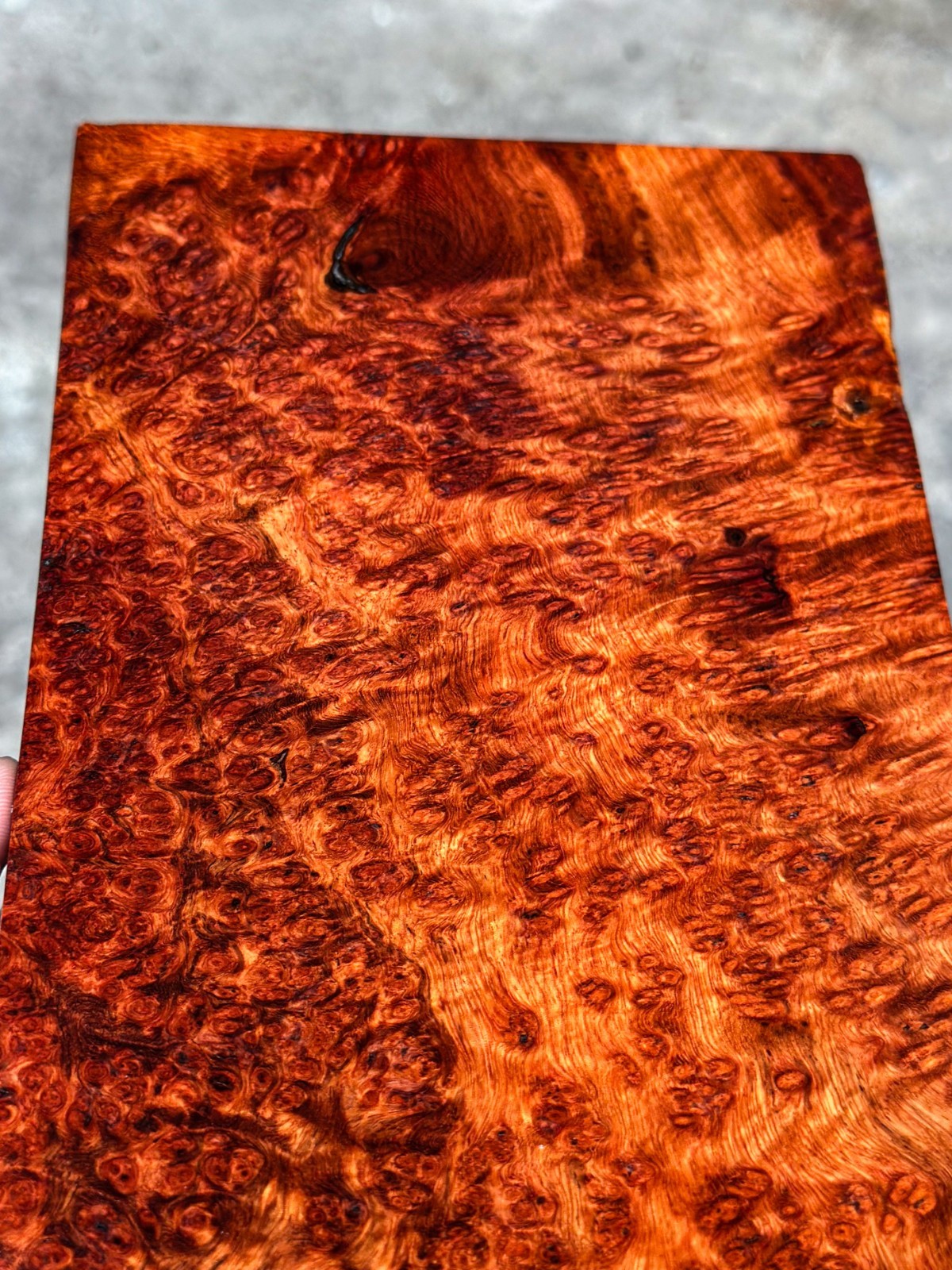 RARE!! Amboyna Burl ,Exotic Wood, Lumber, Knife Timber Handle Lumber #2895