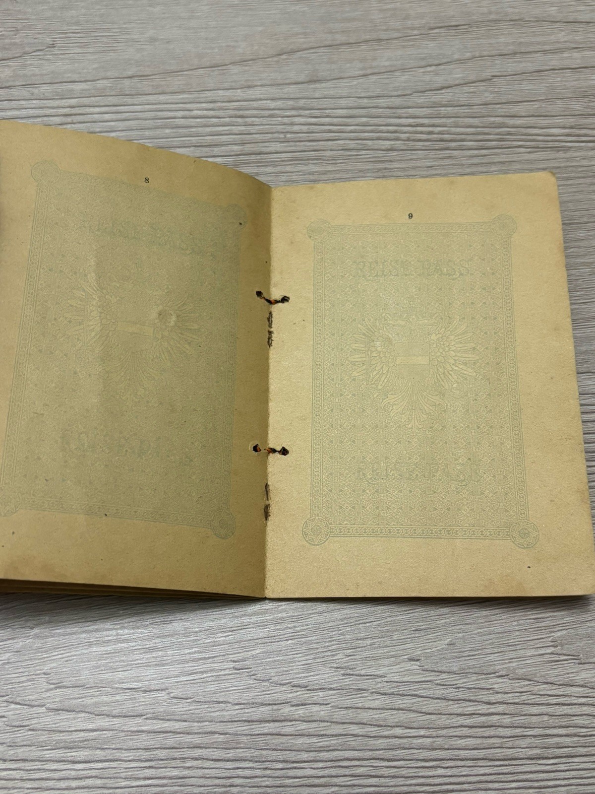 Antique Vintage Expired Austrian Hungarian Empire Documents 1910s Expired Visas