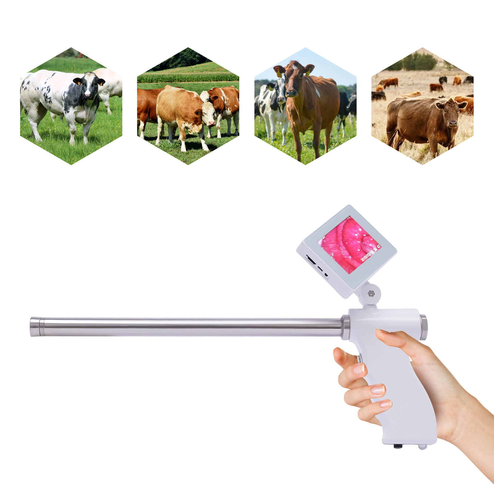 Visual Insemination Gun Cattle Cows for Livestock Artificial Insemination Kit HD