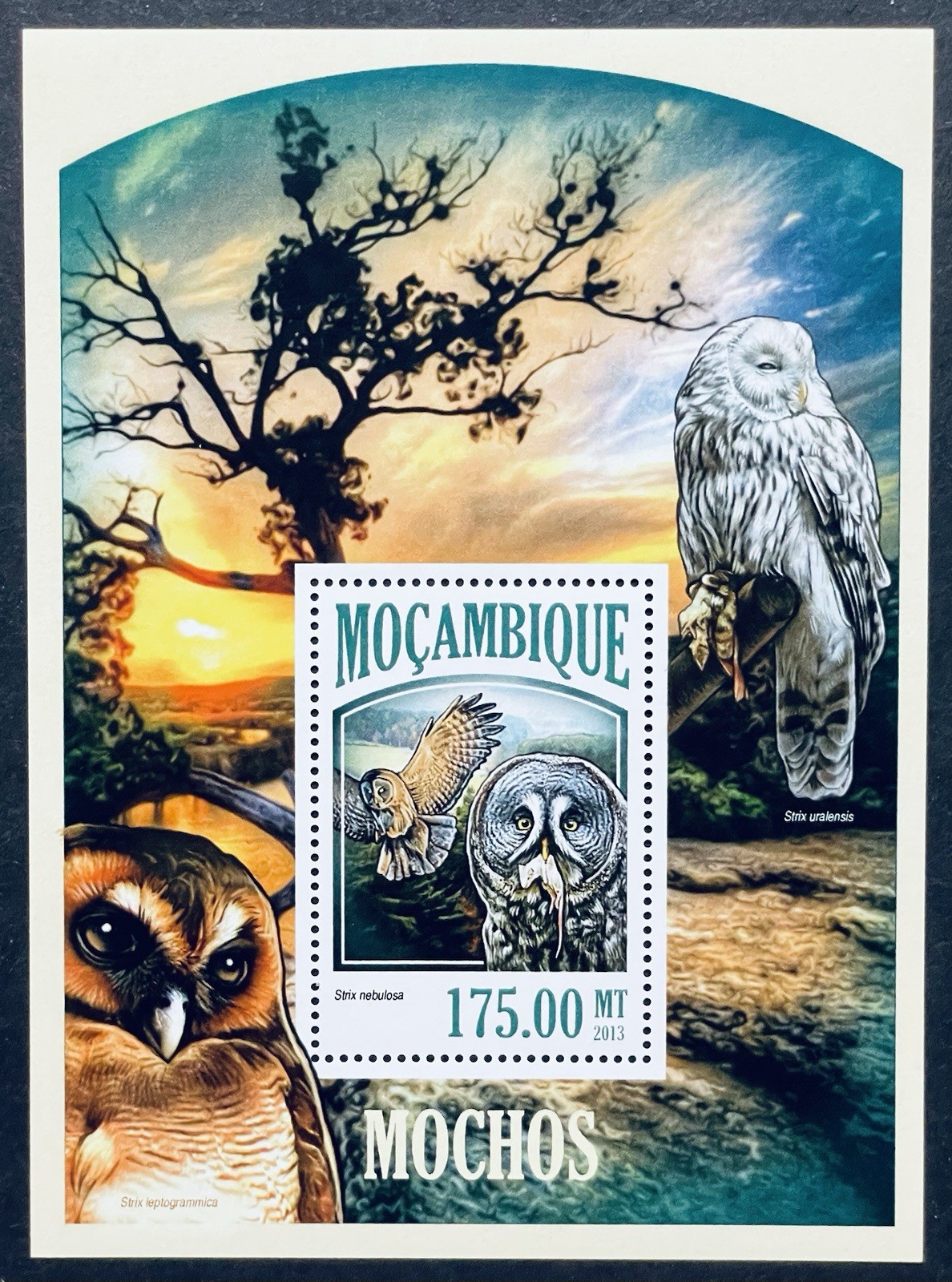MOZAMBIQUE OWLS STAMPS SS MNH 2013 URAL OWL BIRDS OF PREY BROWN WOOD OWL BIRD