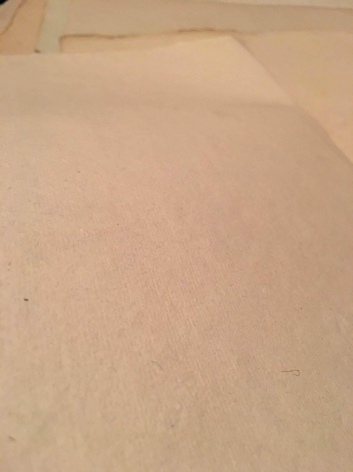 BLANK RESTORATION PAPER 1700s