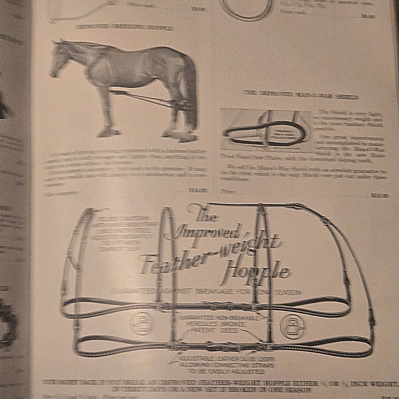 J.B. Sickles Saddle Catalog Show Race Horse Western English Early 1900s