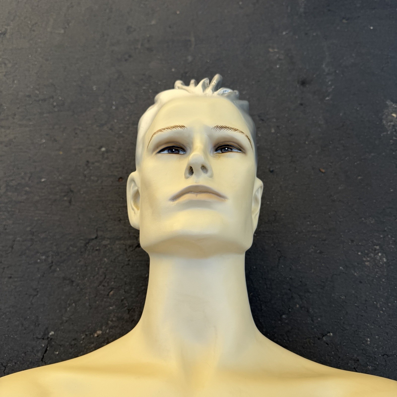 Lady Lulu Vintage Mannequin Torso Head Male Man Muscle Silver Spike Hair