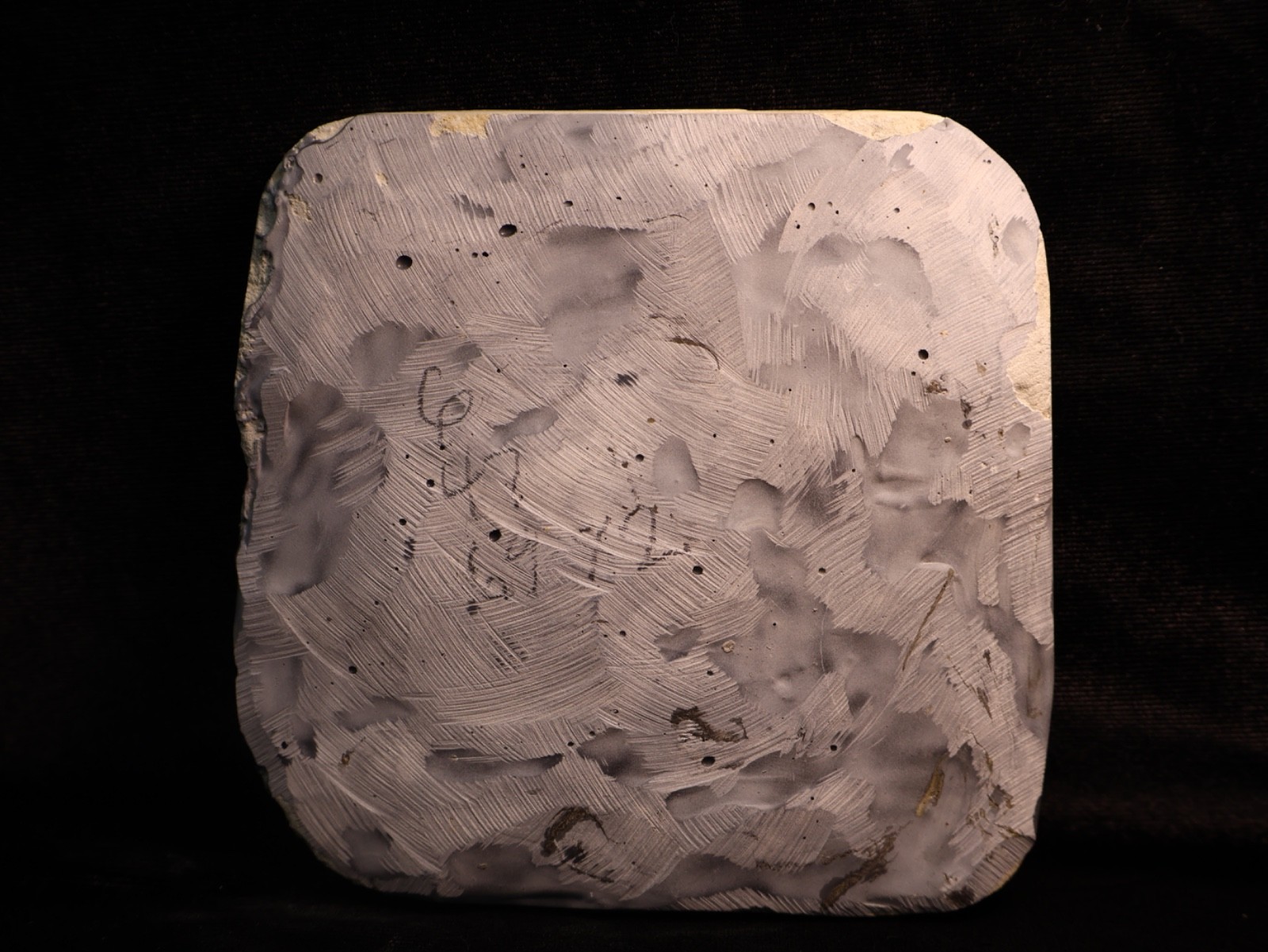 Vortex of Fossil Crinoids, Crawfordsville, IN