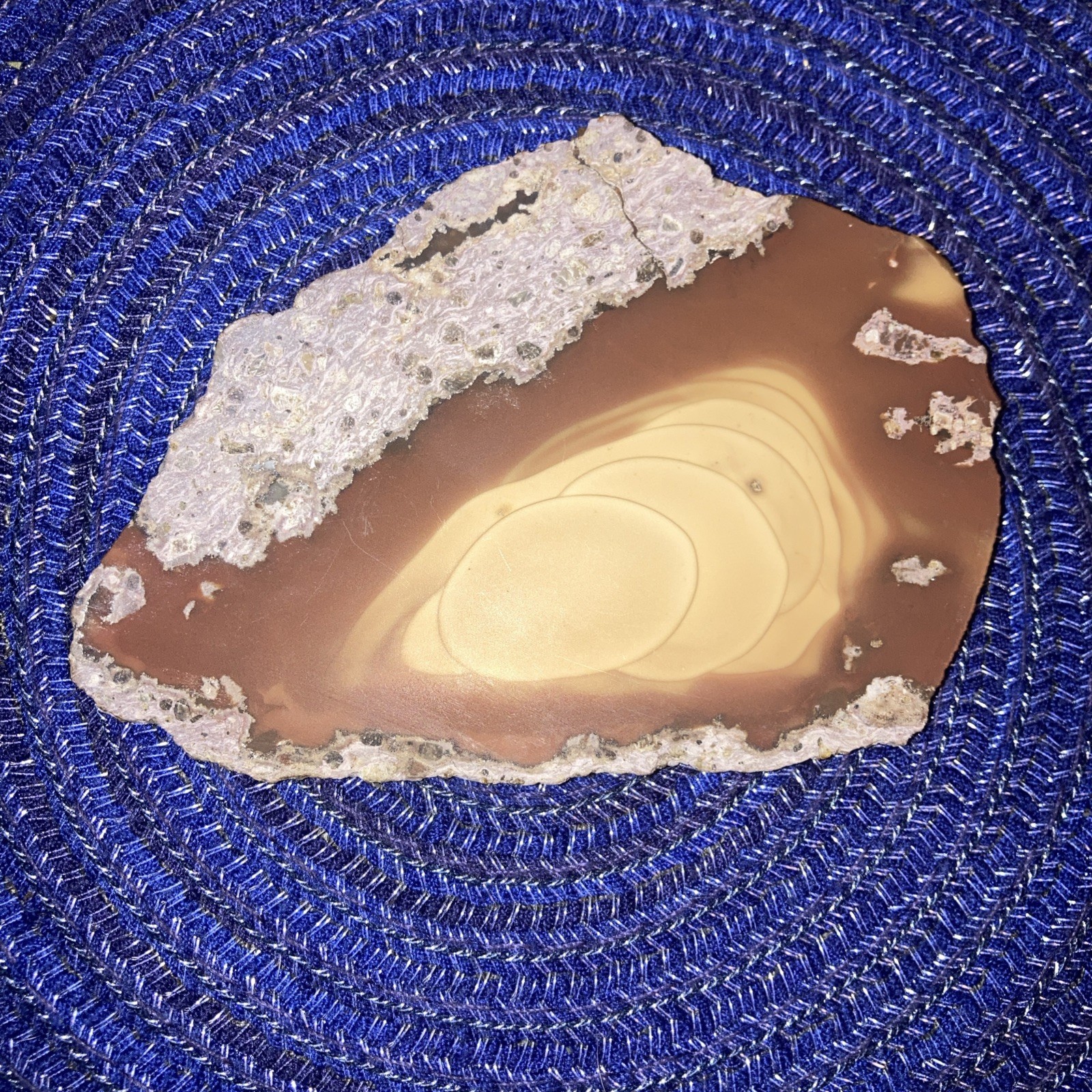 Bruneau Jasper Slab- 2.4oz/68g Not Polished Lapidary Slab With Beautiful Orbs