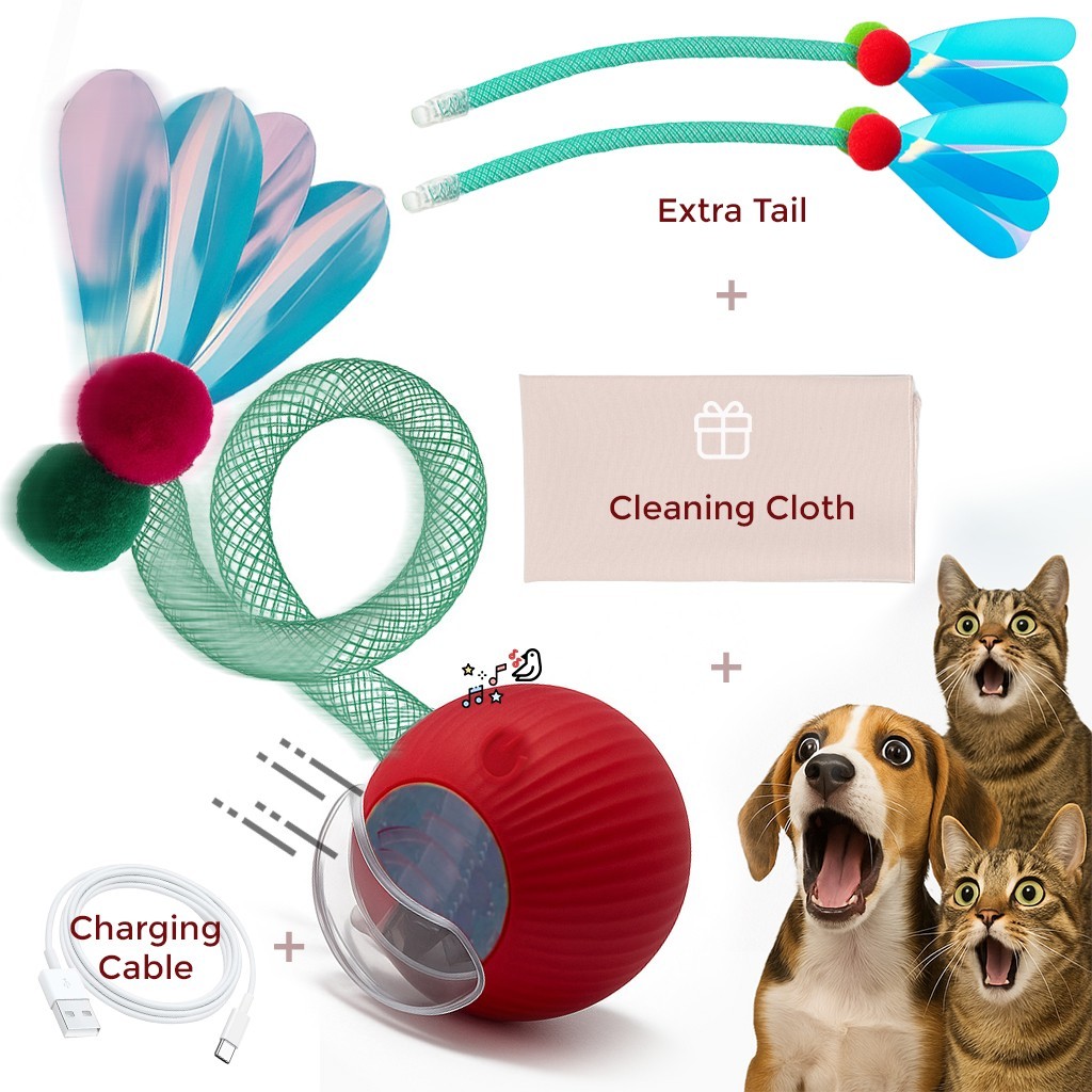 Automatic Rolling Ball for Cats – Rechargeable Smart Interactive Toy, Durable