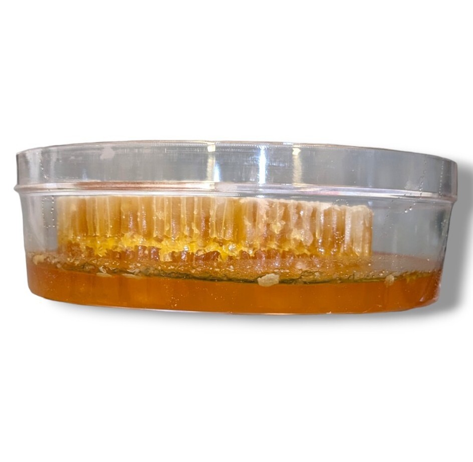 HONEYCOMB HONEY 17.6oz 500g 100% PURE UNFILTERED HONEY COMB DELICIOUS