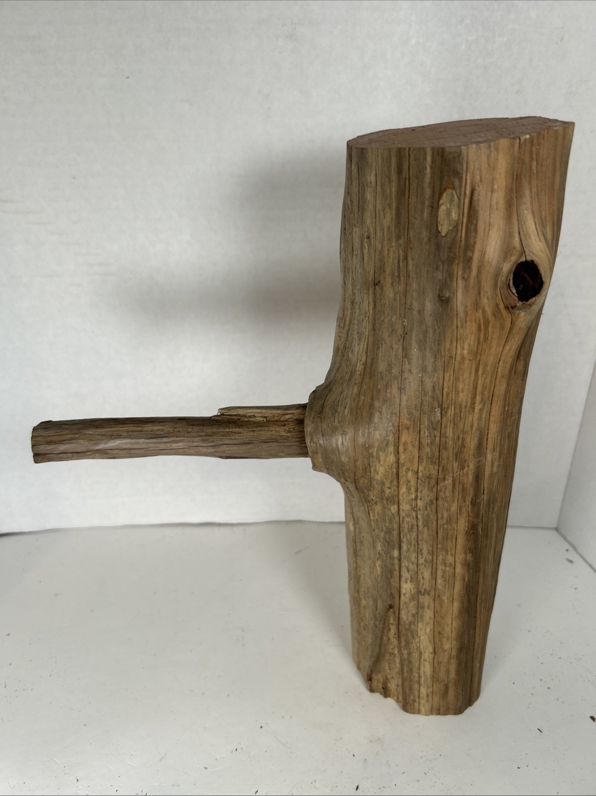 Driftwood¡ 2 Piece Set Cedar Taxidermy Beach Mountain Wedding 1 White Outside