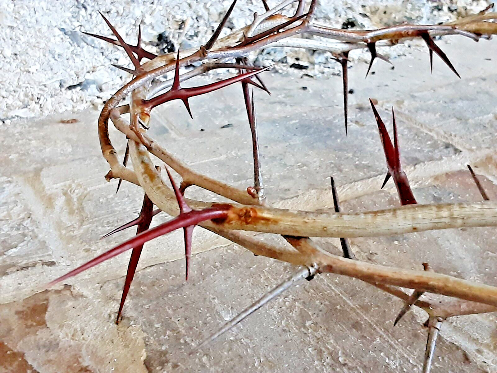 REAL Handmade Jesus Crown of Thorns - Lent, Good Friday, Passiontide, Easter