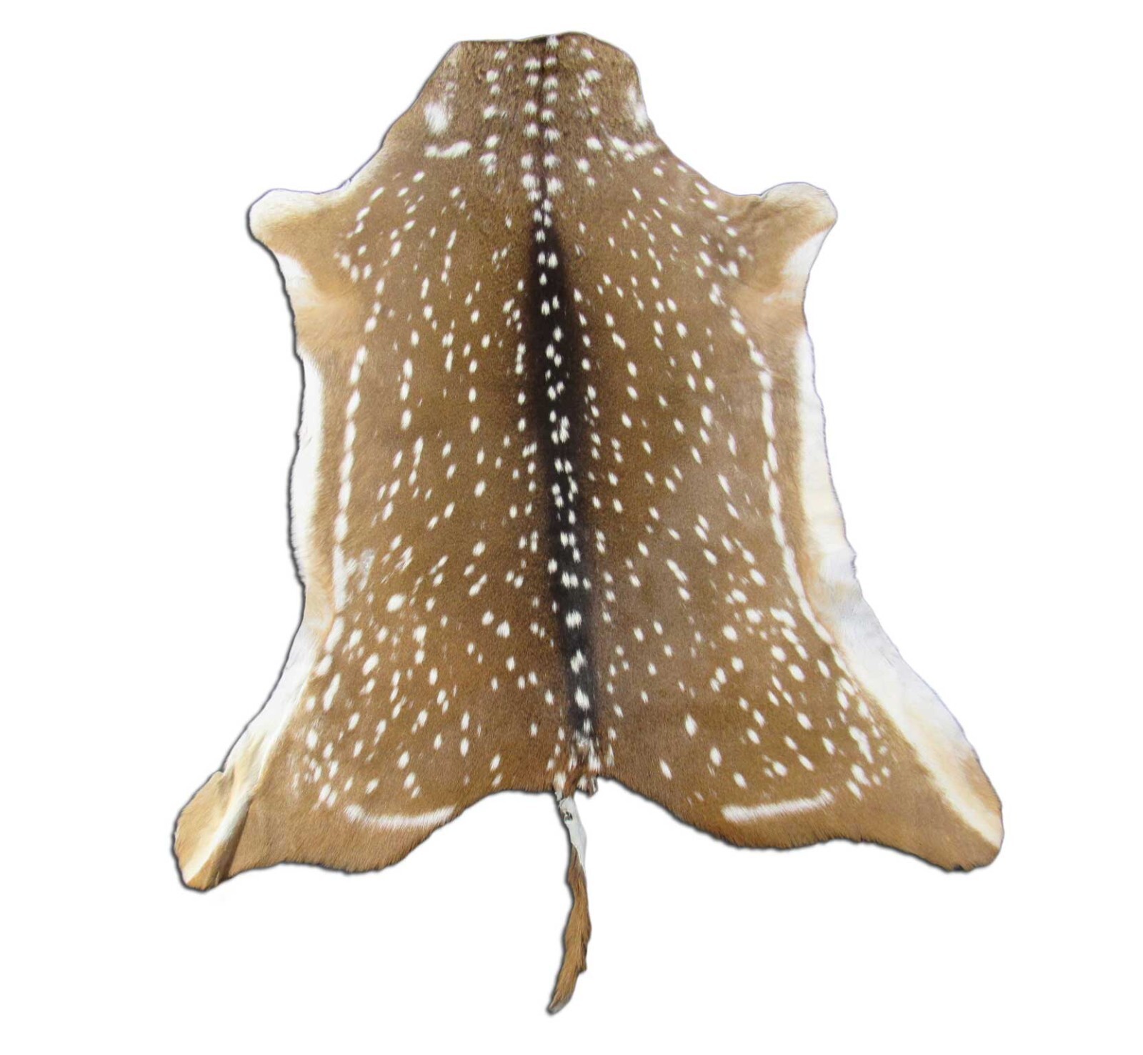 Axis Deer Skin Hide Average Size: 37" X 30" Top Grade Axis Deer Hide Top Grade