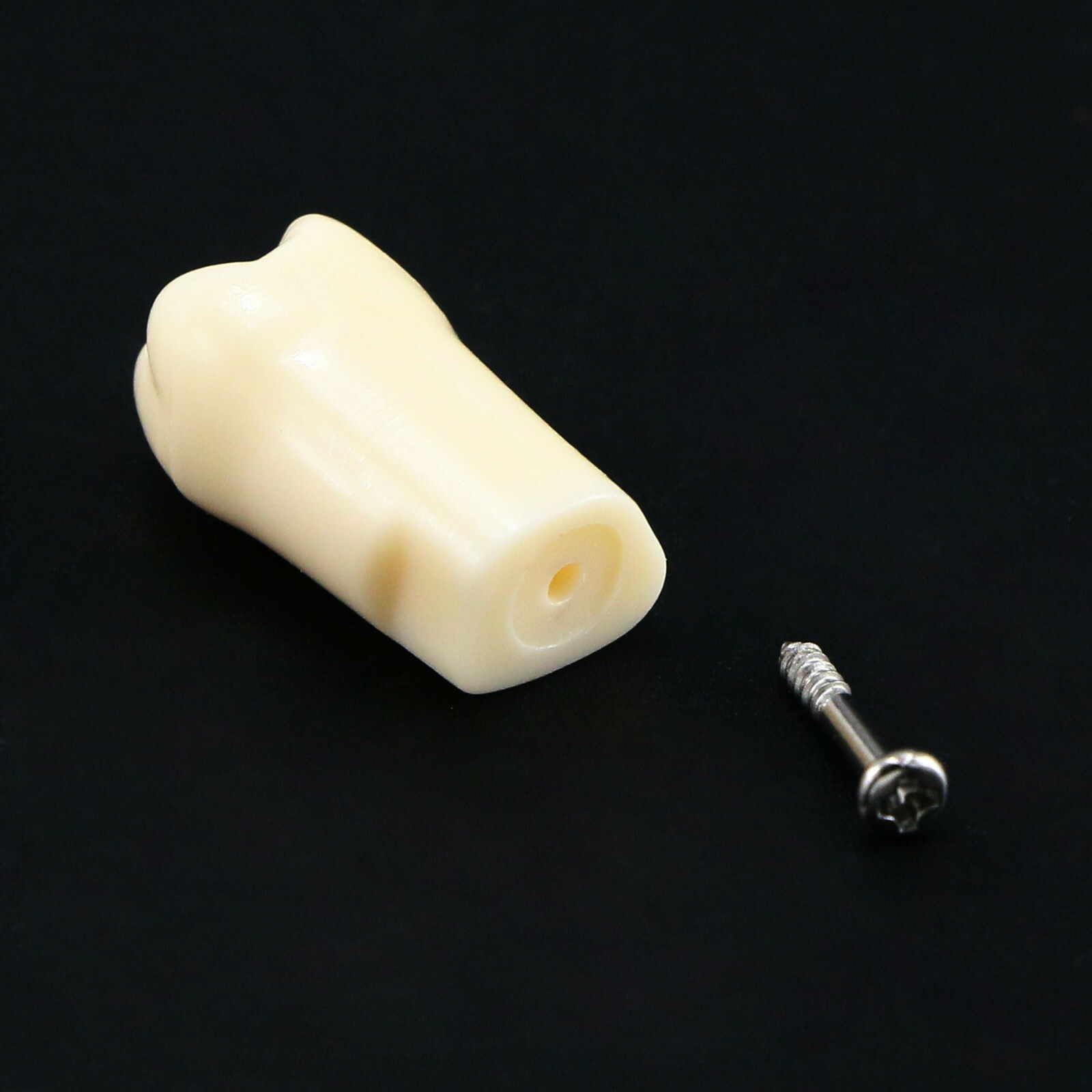 Dental Typodont Replacement Screw-in Teeth Model fit Kilgore NISSIN 200/500 Type