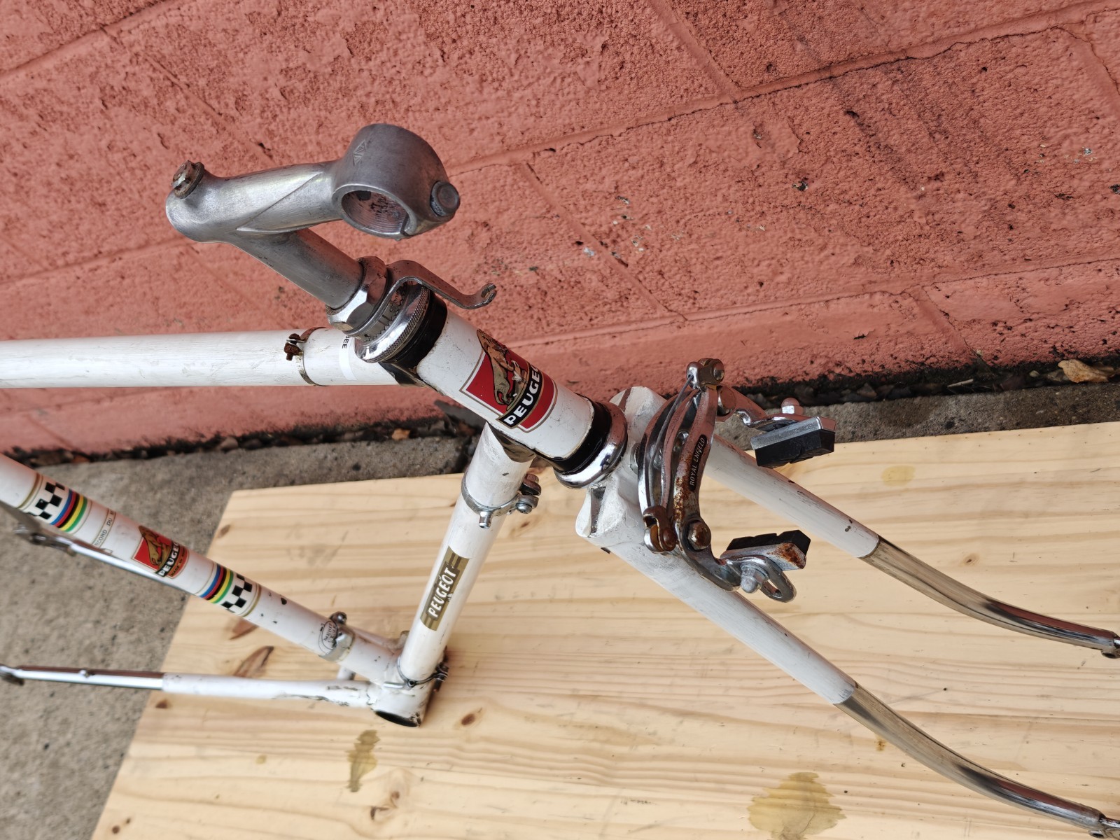 Peugeot PX-10 Vintage Bicycle Frame / Partial Bicycle 54/55cm