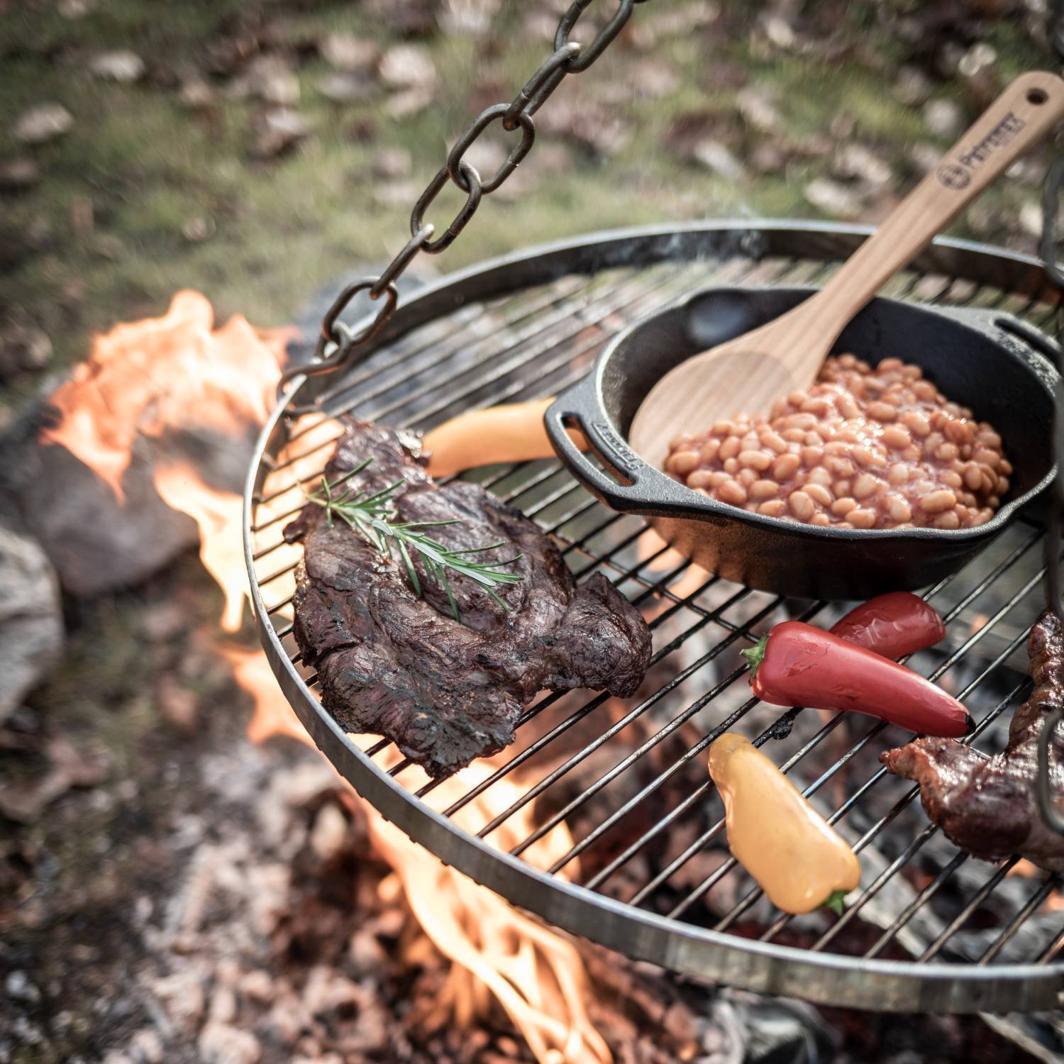 Petromax Hanging Campfire Grill Grate for Outdoor Cooking Tripod, Steel, 19.7 in