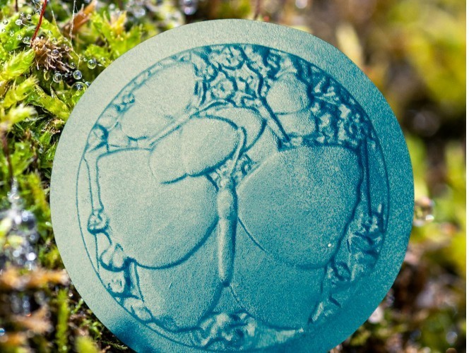 Butterfly steppingstone mold concrete plaster cement garden mould 12" x 1" thick