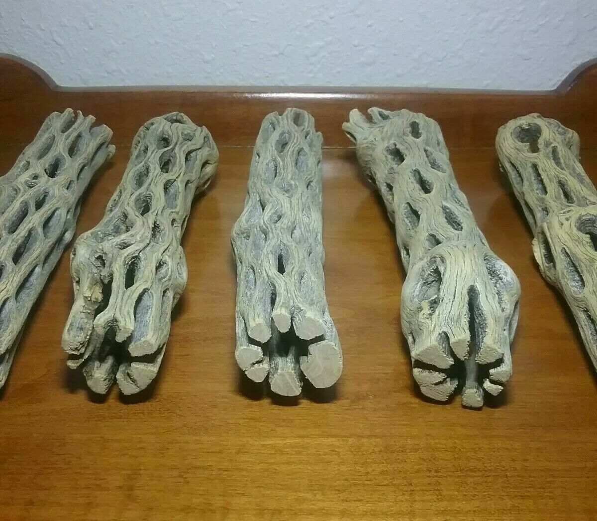 10 LARGE 6" inch CHOLLA Wood | CLEANED! | AQUARIUM | Air Plant, Crafts | Cactus
