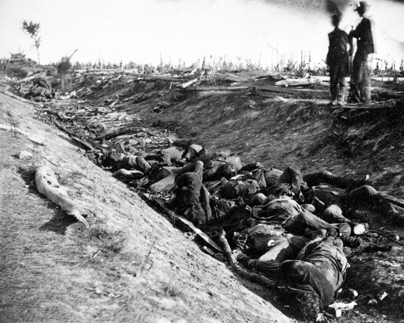 Battle Antietam - Sunken (Bloody) Lane Dead Confederates 11x17 Civil War Photo