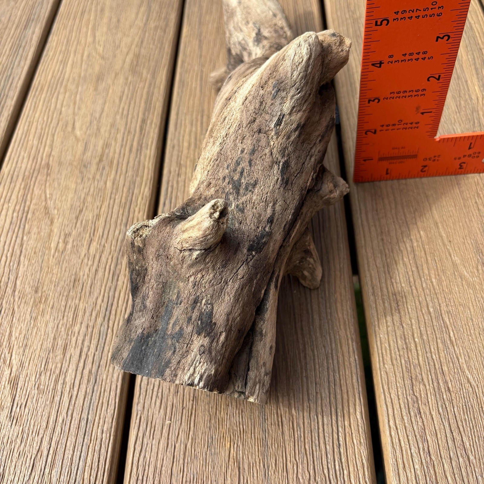 Knobby Tree Shaped Driftwood 14x5x5 – Sculptural Natural Wood Decor