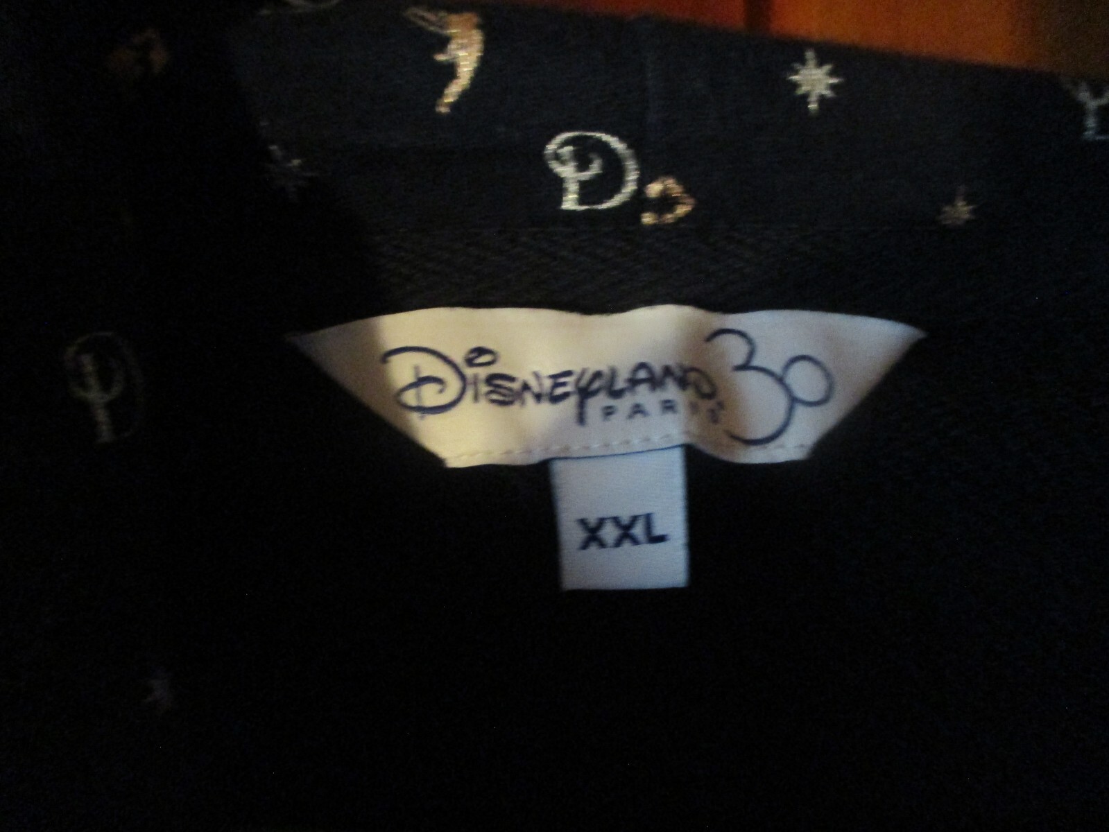 DISNEYLAND PARIS 30 YEARS TINKERBELL FULL ZIP HOODIE