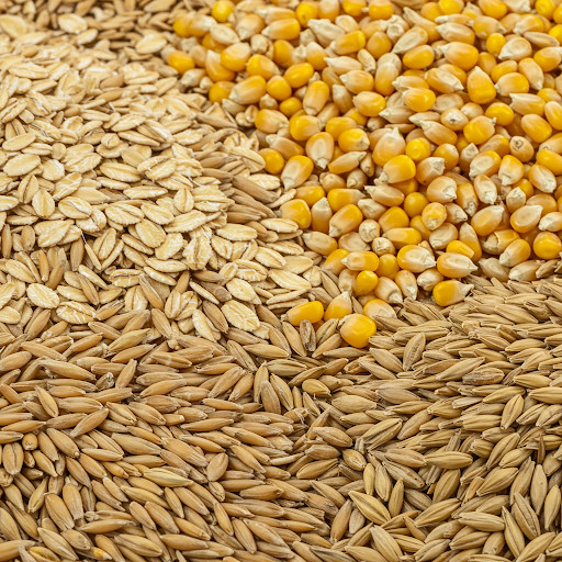 Brewing Grains - Simple EASY Kit for Moonshine Whiskey - 10p Home brew USA