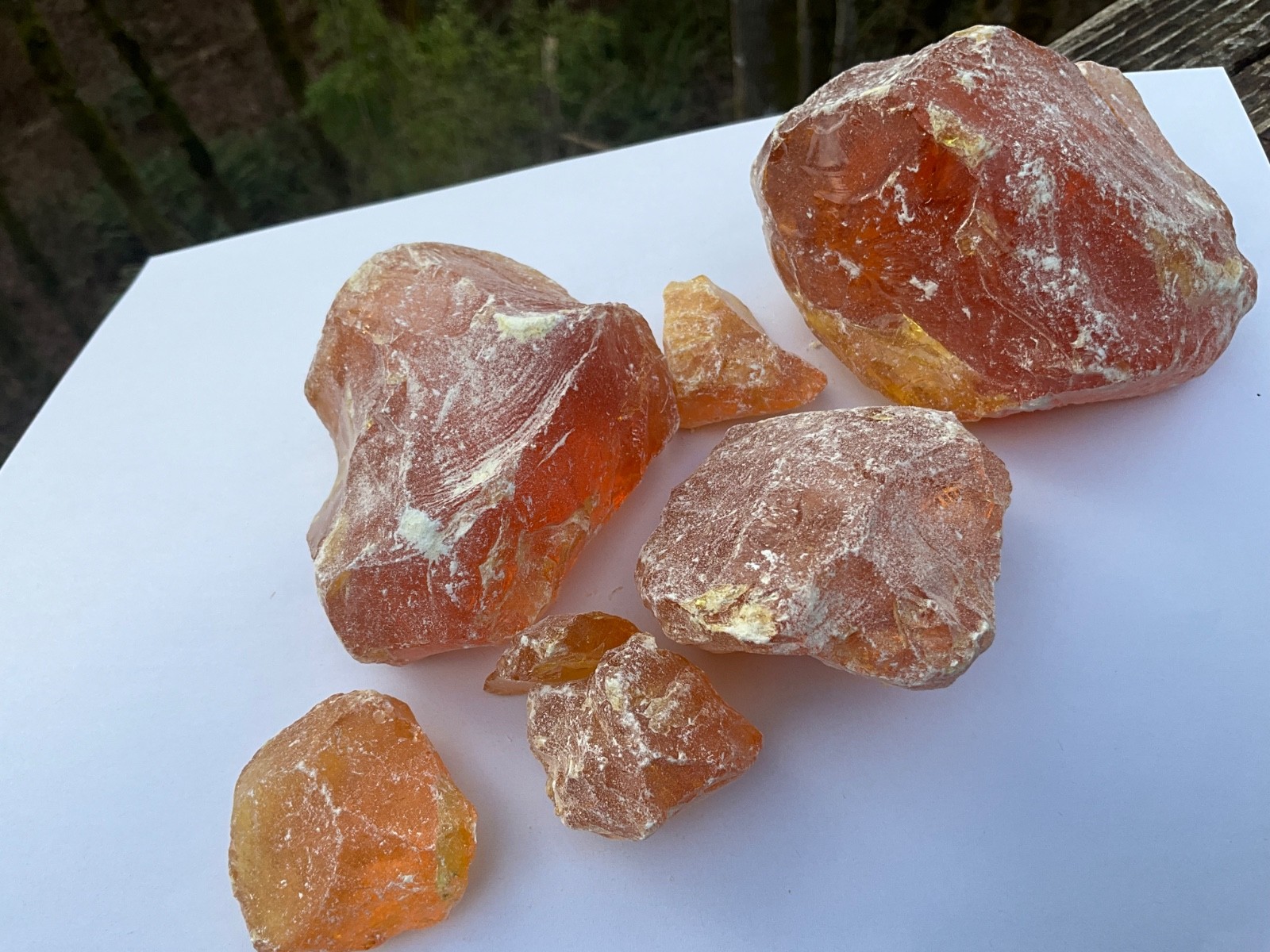 Pinyon Pine Pitch Glue Resin Rosin Amber Native American Crafts, sold by ounce