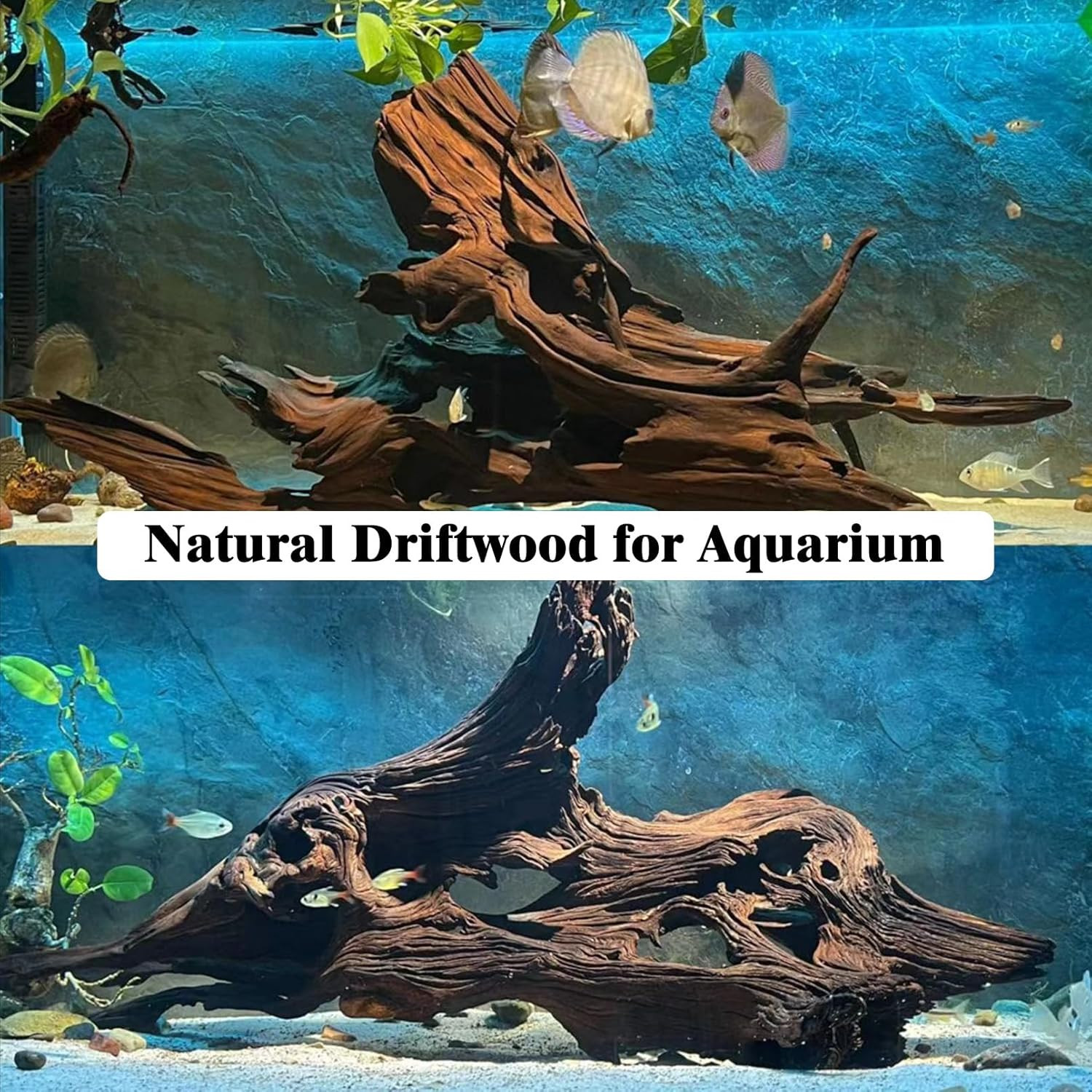 Kathson Natural Driftwood for Aquarium Decor, 3-Piece 9''-15'' Large Driftwood f