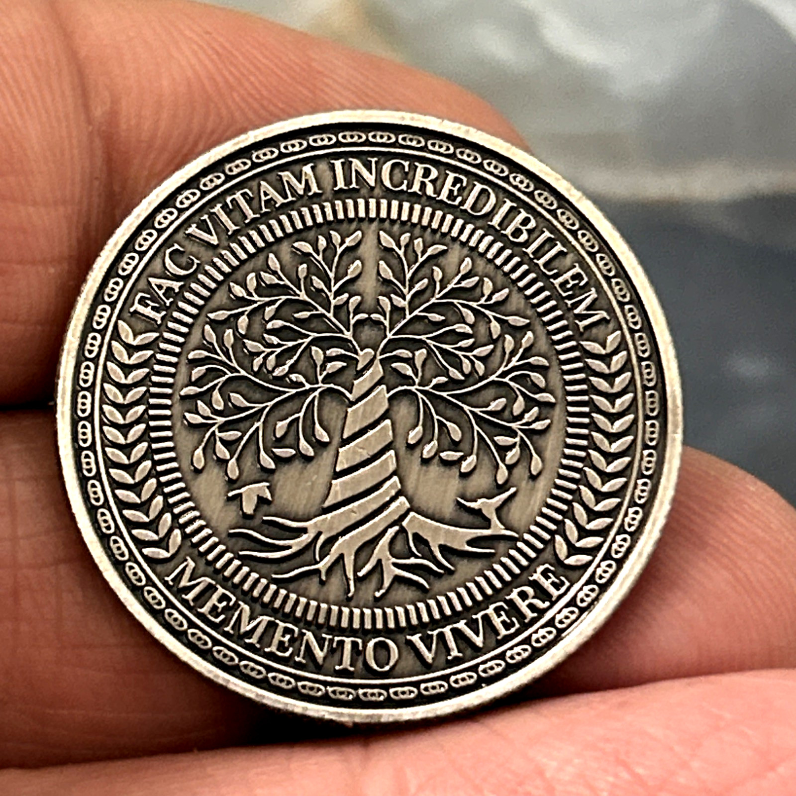 Memento Mori - Tempus Fugit Skull Lucky Pocket Piece Coin (1 PC)