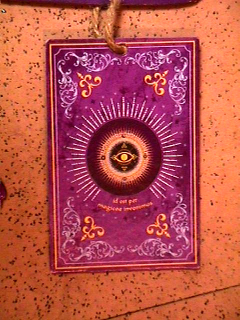 CRYSTAL GAZER ball psychic eye tarot card fortune reading SIGN wicca halloween