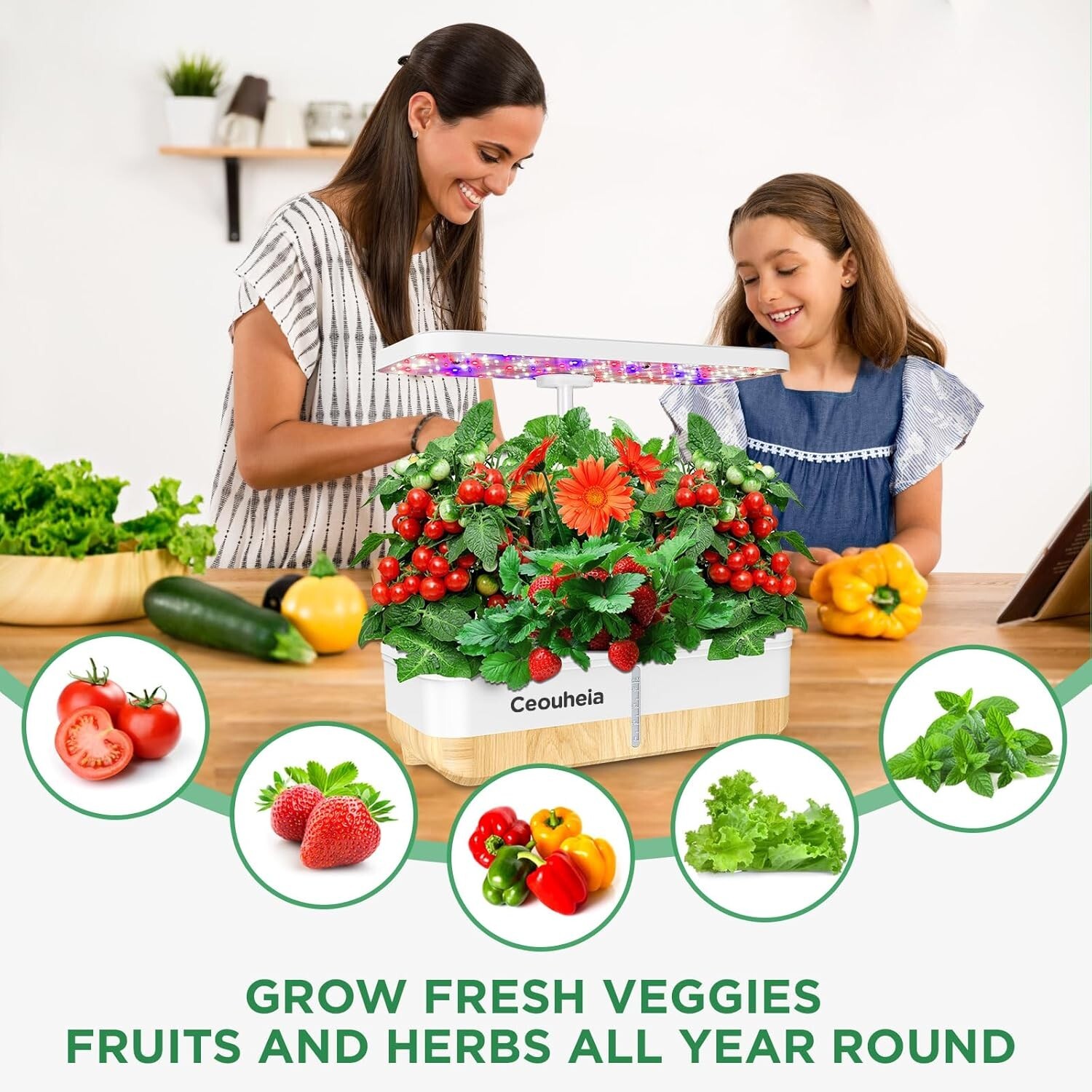 Hydroponics Growing System 12Pods, Indoor Herb Garden with LED Grow Light