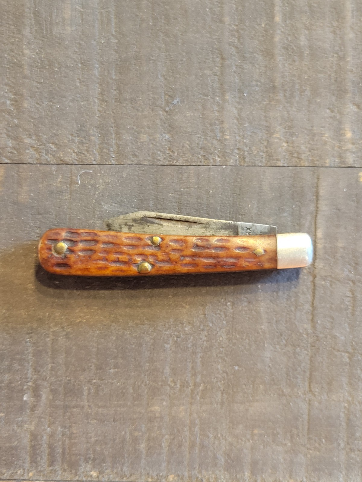 Case XX 6229 1/2 tadpole Pocketknife Two-Blade Brown Clip Pen