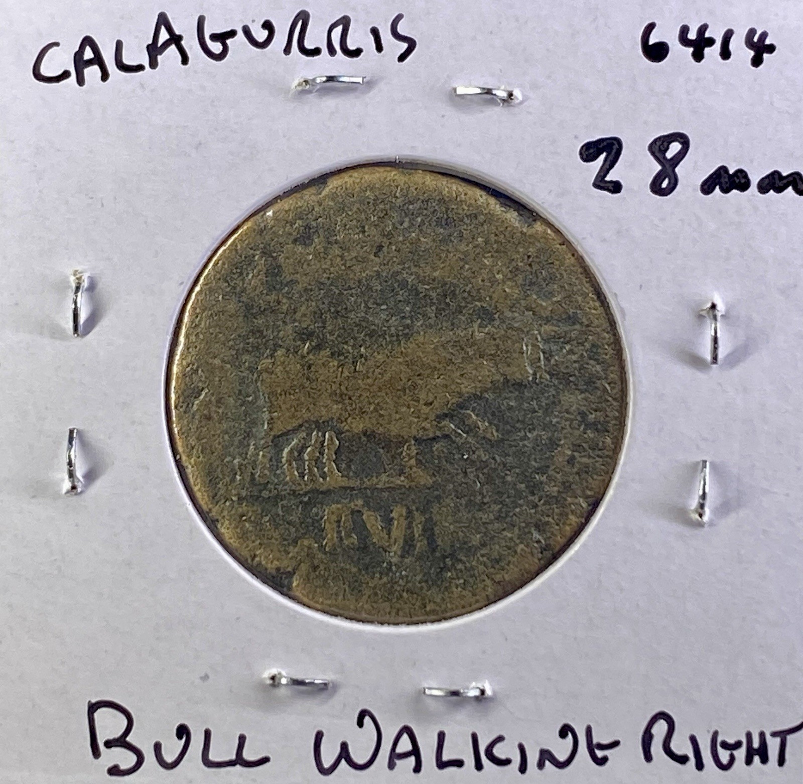 Emperor Tiberius Provincial Roman Coin 14AD-37AD Bull 28mm As Scarce Type