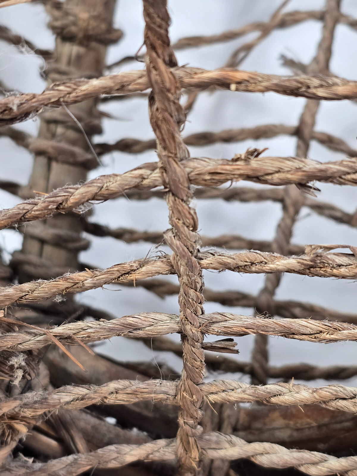 Antique 1920's Era Pacific Northwest Salish Native Handmade Large Burden Basket