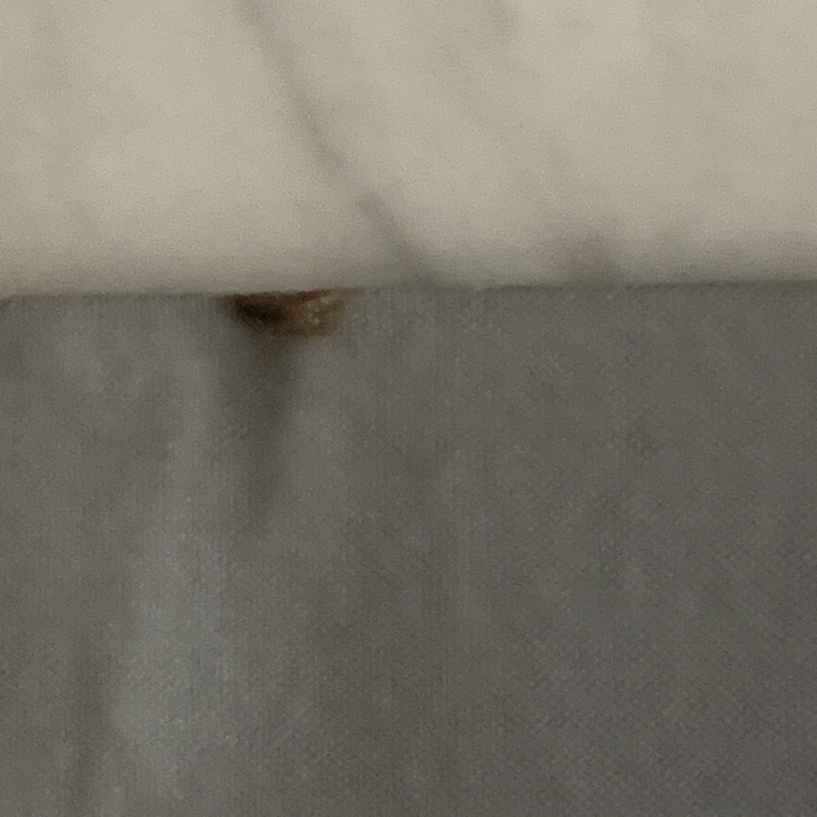 Battalion Officers Dinner Program 28th Infantry Division Pennsylvania