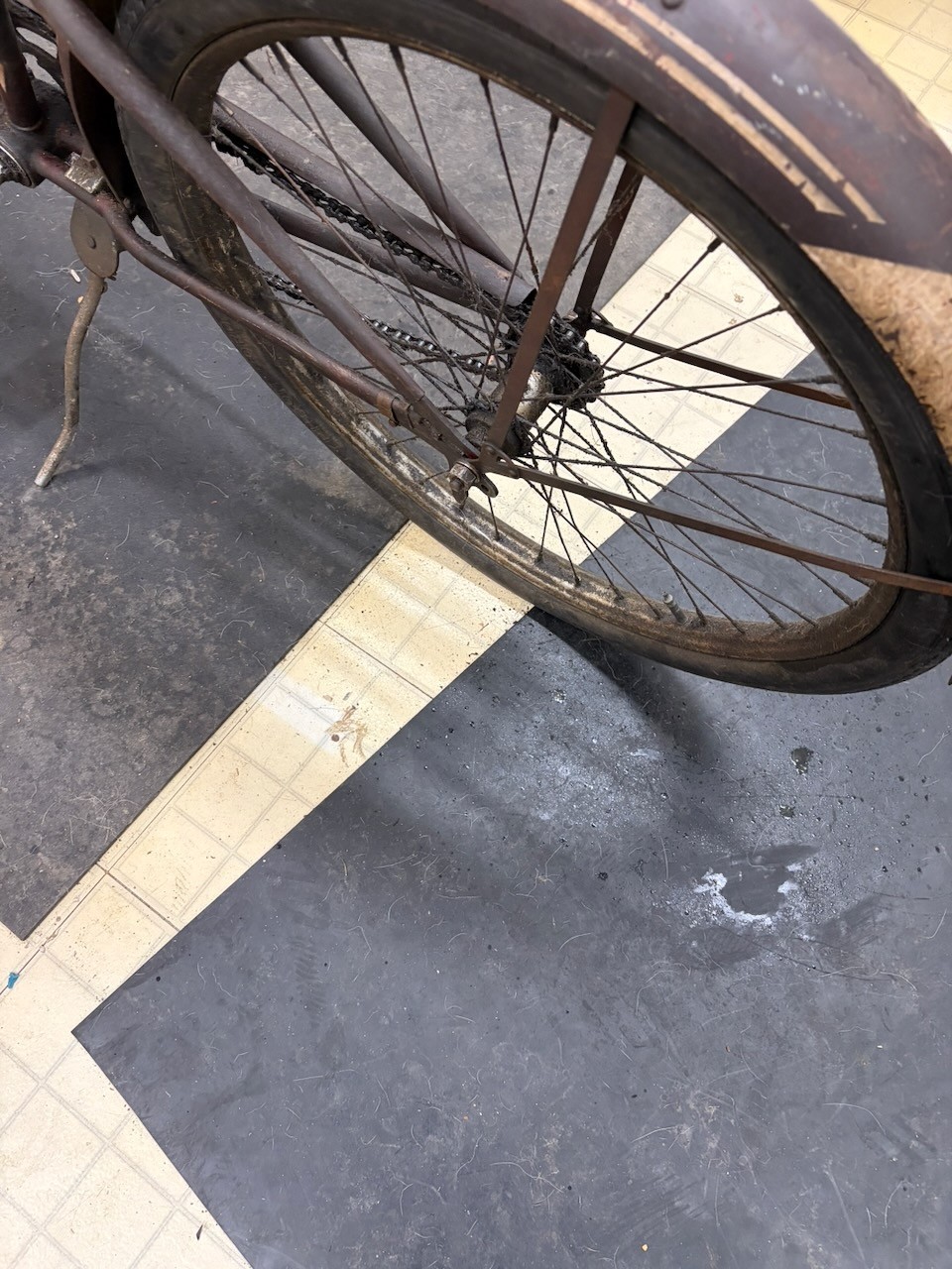 Rollfast RARE! Prewar Mens Bicycle Hanging Tank & Mouse Taillight Zep?