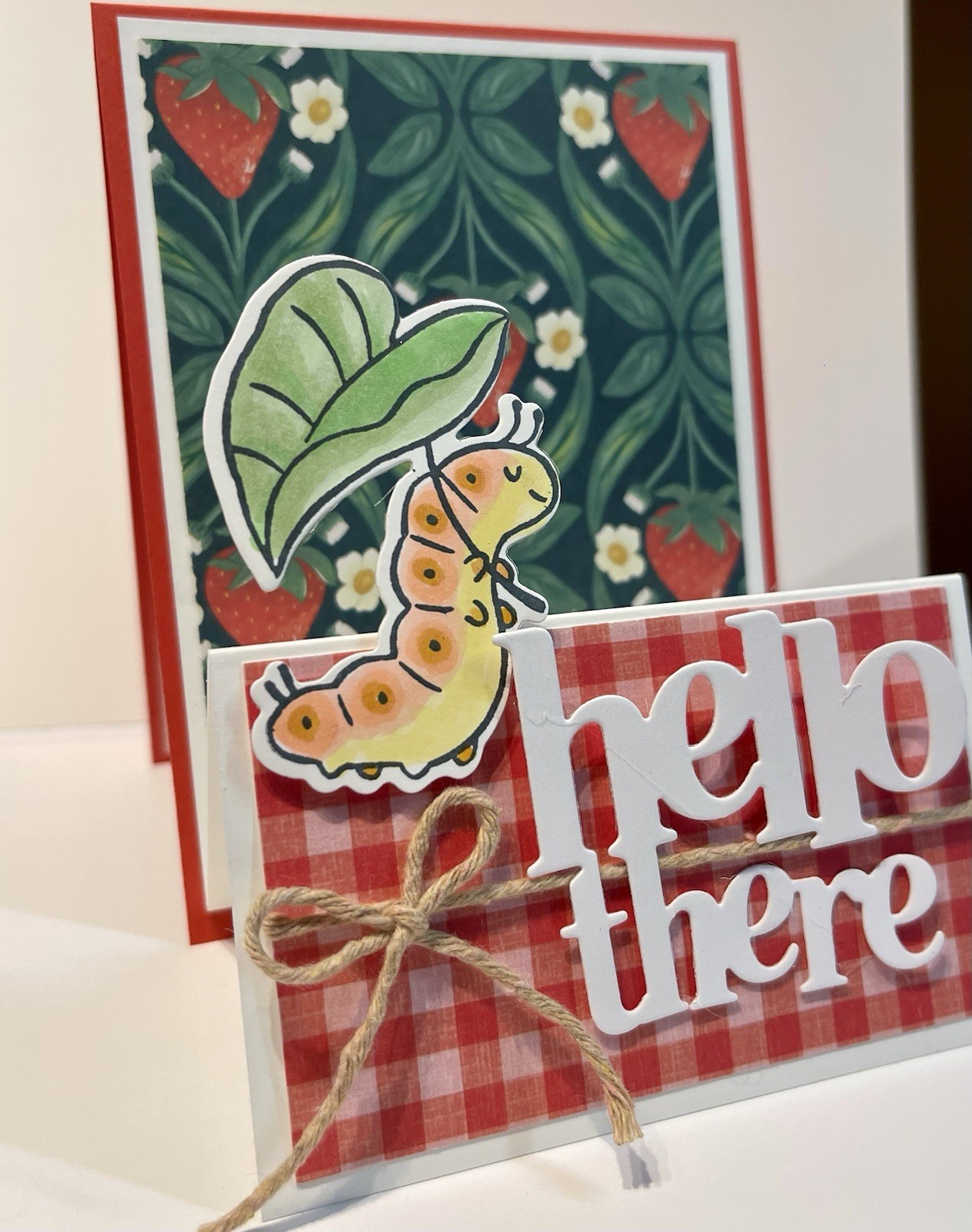 4 Stampin Up! SWEET BUGS “Hello There” Picnic Fun Double Fold DIY Card Kit
