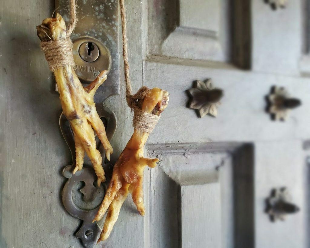 Chicken Feet, Luck Charm, Voodoo Protection, Gallus Domesticus, Oddities
