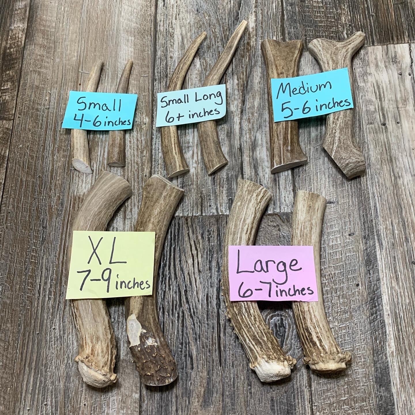 Montana Premium Deer Antler Dog Chews, various sizes for all dogs!
