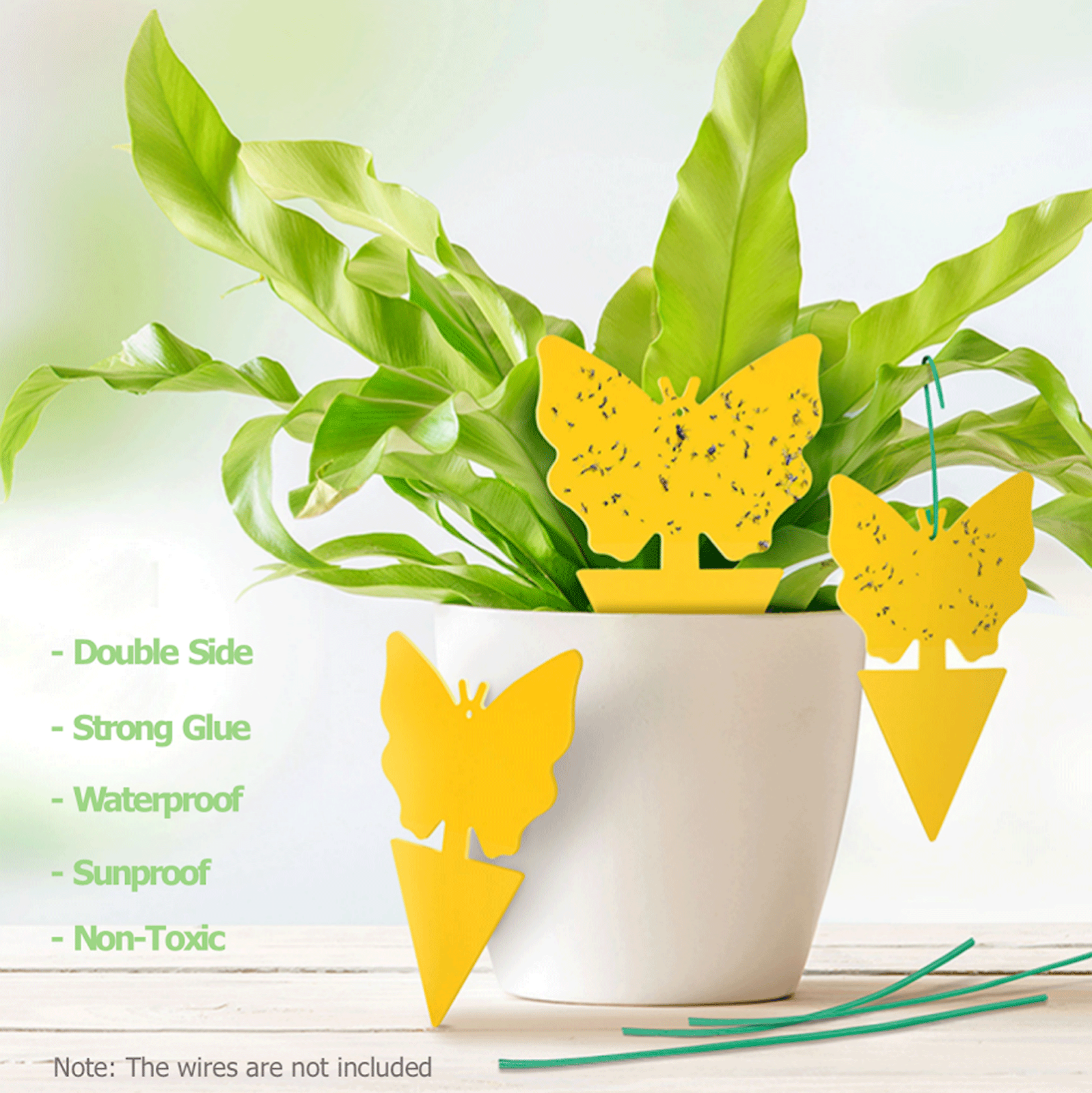 10-100Pcs Sticky Fruit Fly Traps, Fungus Gnat Killer Trap use Indoor Outdoor