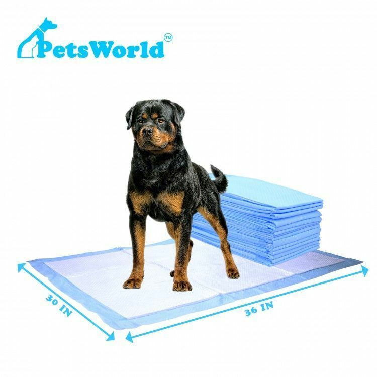 PETSWORLD Extra Large Dog Training & Potty Pads (30x36 inch) 50 - 600 Count