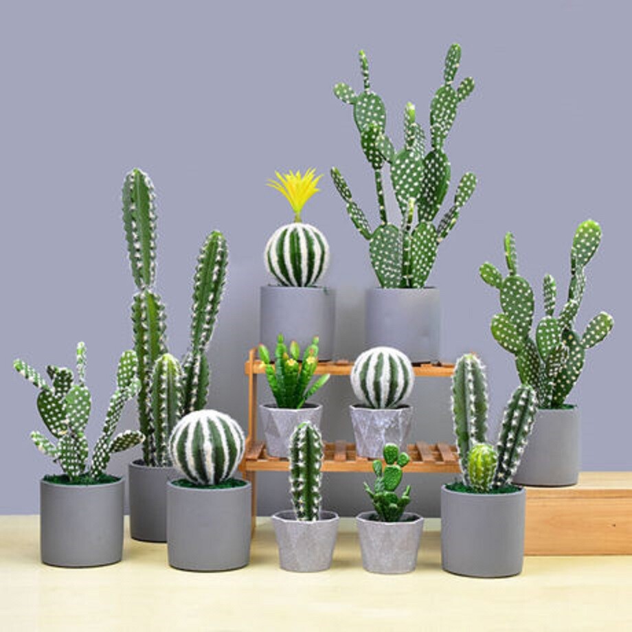 5 gal Pumice,Turface & Lava. Soil Mix for Long Lasting Bonsai Soil -FAST SHIP