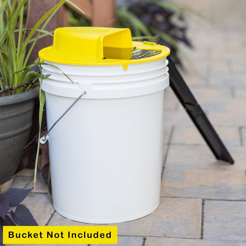 RinneTraps - | Flip N Slide Bucket Lid Mouse Trap | As Seen on TV/Youtube